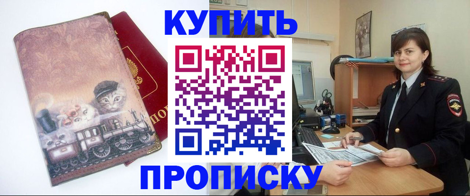 прописка в Сольцах